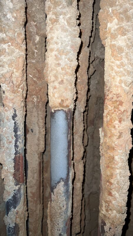 Keddelrensning billede 2